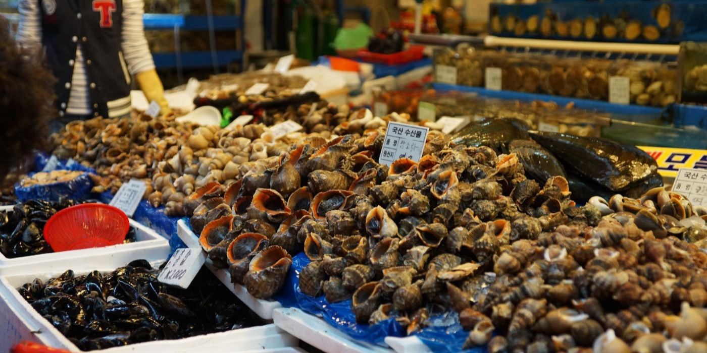 Kerang Halal atau Haram? Hukum Kupang, Tiram, Siput Sedut dan Mazhab