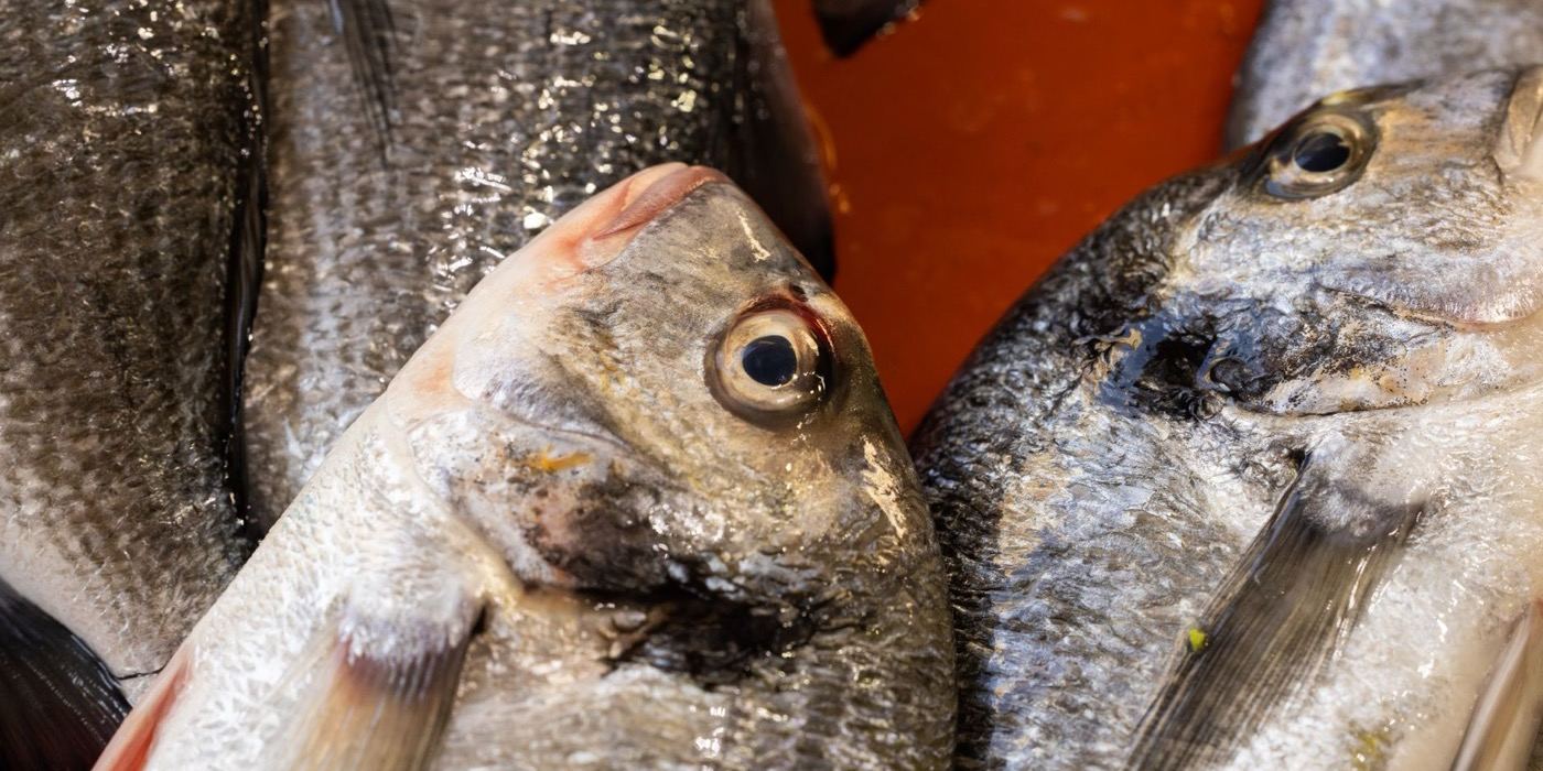 Mazhab Tidak Boleh Makan Seafood: Kenapa Hanafi Hanya Halalkan Ikan?