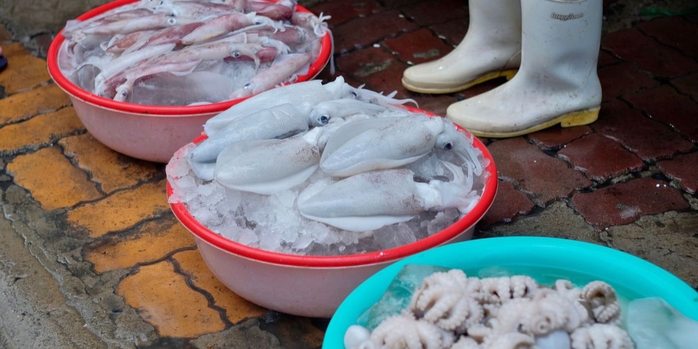 Sotong Halal atau Haram? Hukum Mazhab dan Fatwa Dakwat Sotong