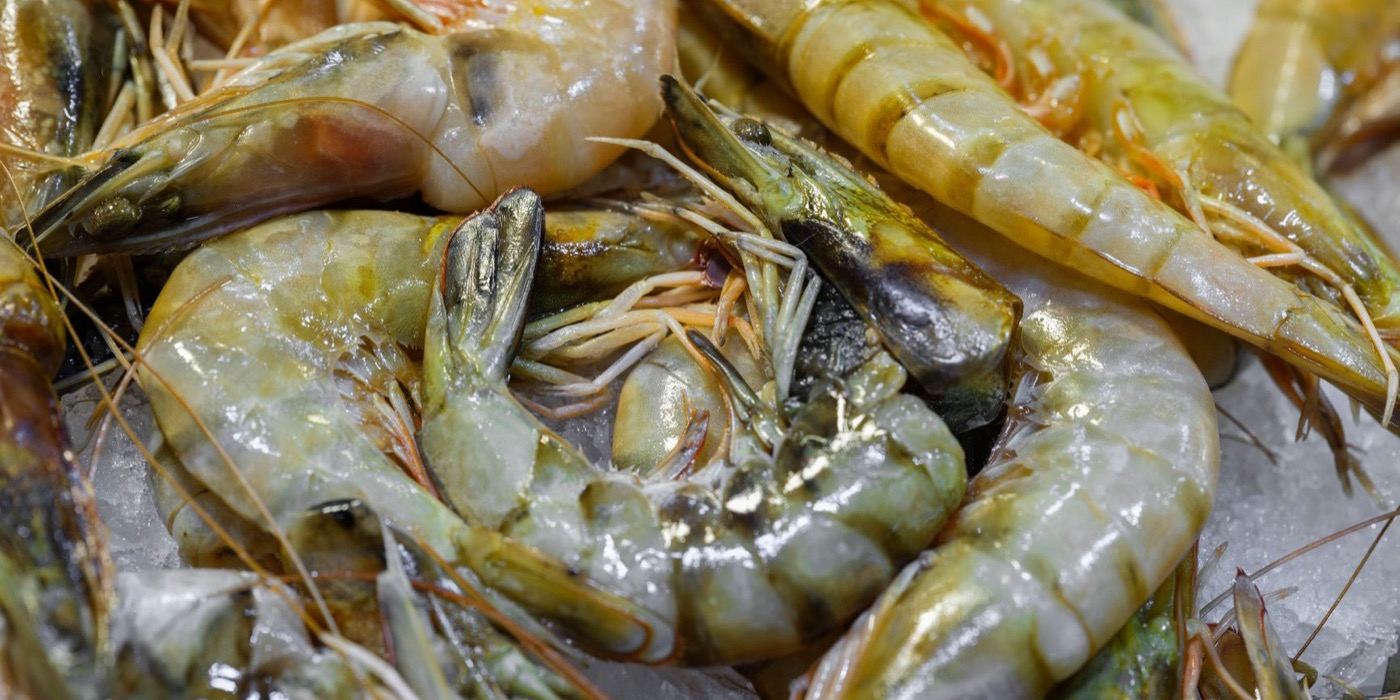 Udang Halal atau Haram? Hukum Mengikut 4 Mazhab dan JAKIM