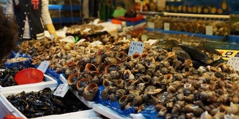 Kerang segar di pasar