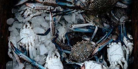 Ketam segar di pasar ikan