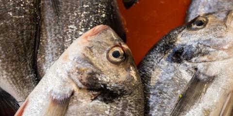 Ikan bersisik di pasar