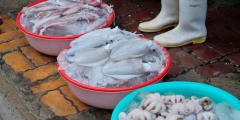 Sotong segar di pasar