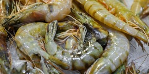 Udang segar di pasar
